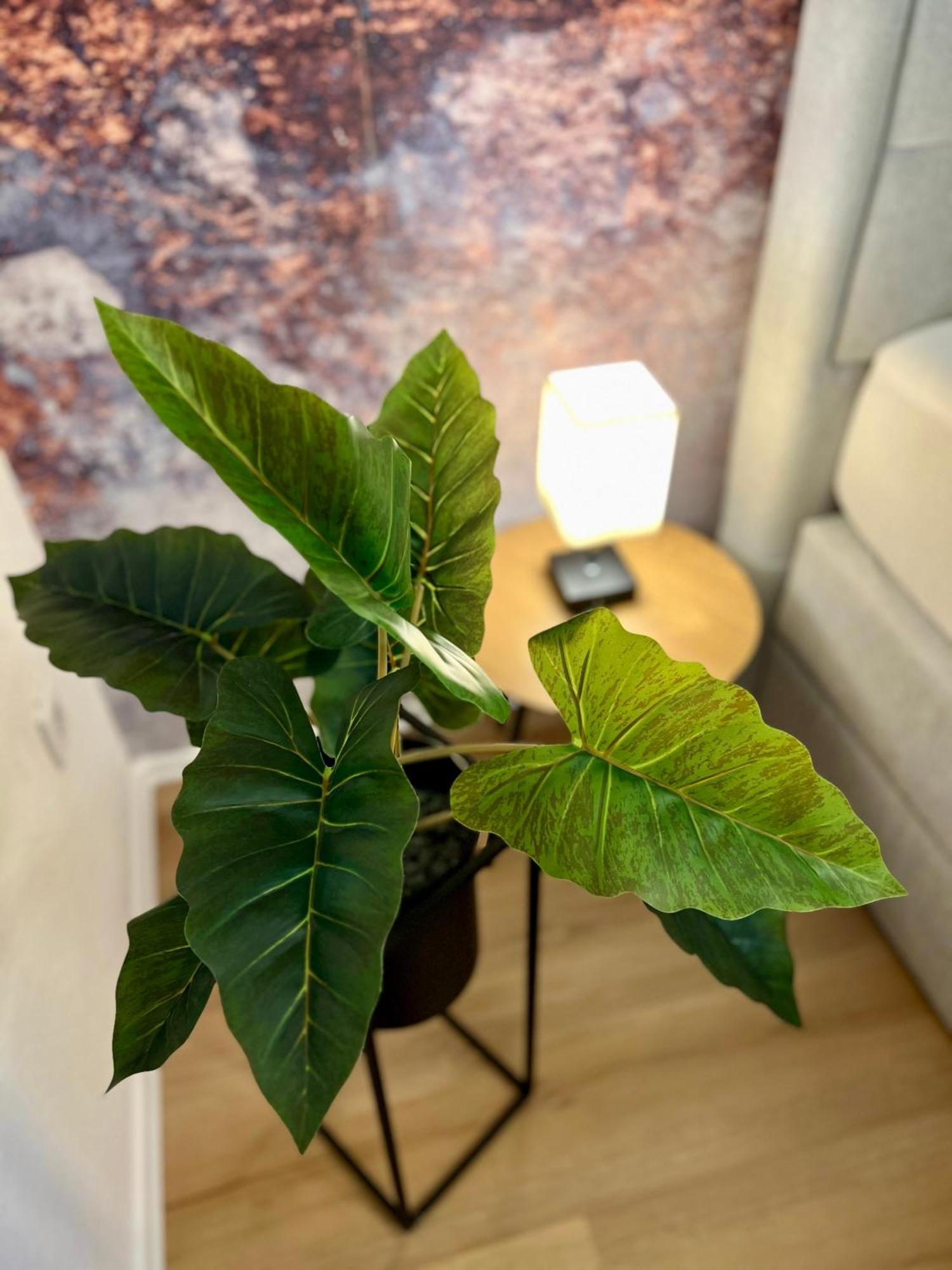 Appartamento Main Cozy Casa Am Ringpark Free Parking Würzburg Esterno foto